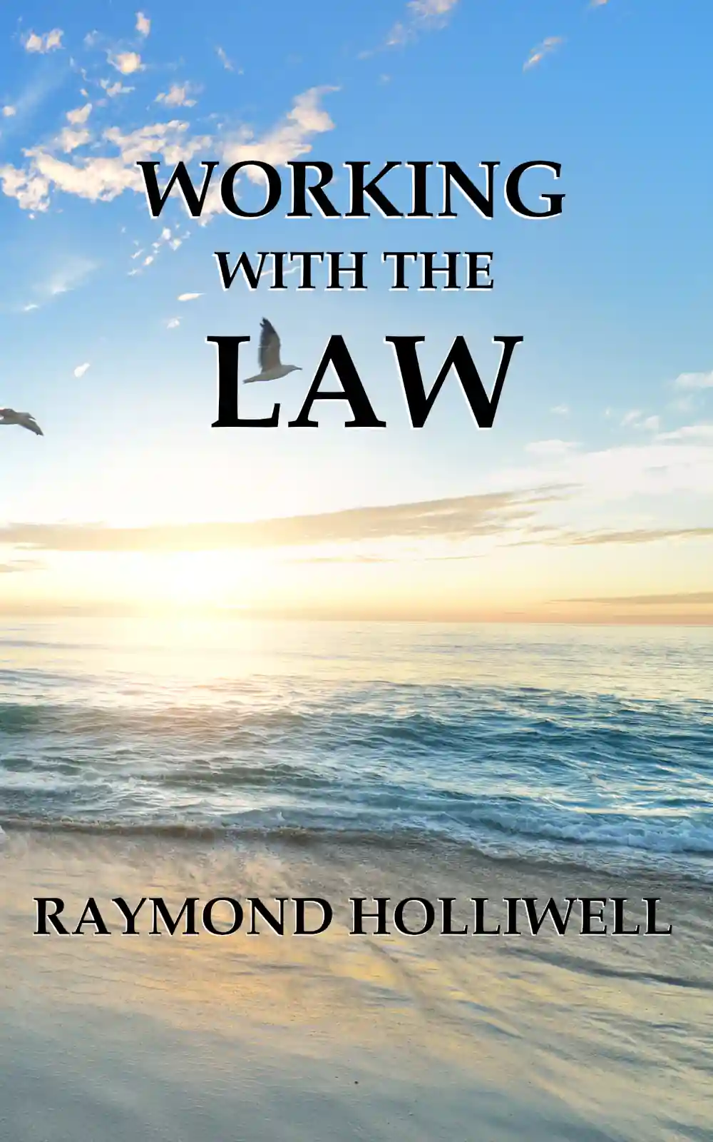 Working With The Law Pocket Edition - Easy Reader