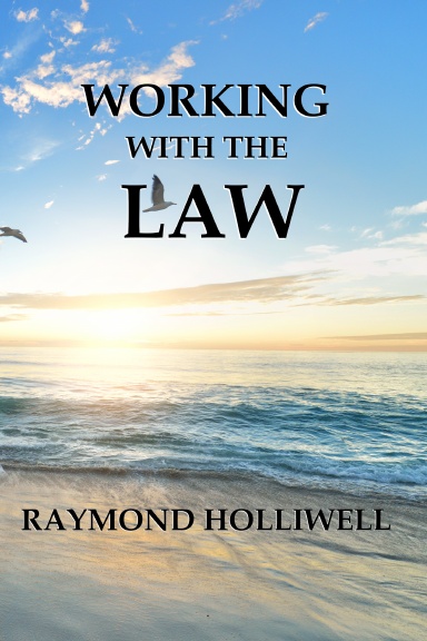 Working With The Law Large Print Edition
